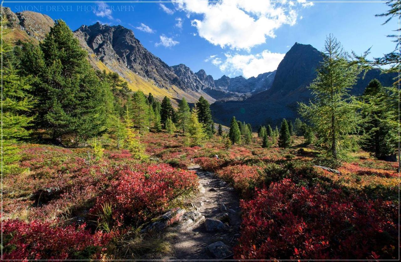 Apart Thurner Kappl  Exteriér fotografie